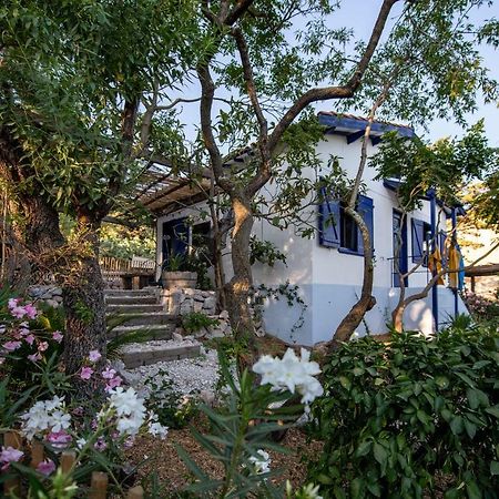 Les Maisons De Pecheurs Sete Luaran gambar